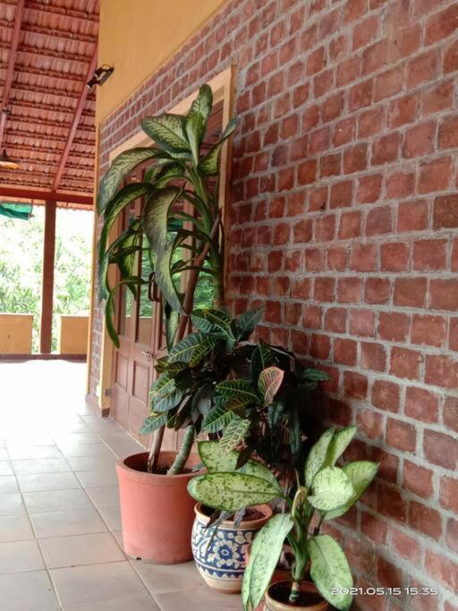 Sohana Eco Retreat Farmhouse - Karjat Chinchavli Exterior foto
