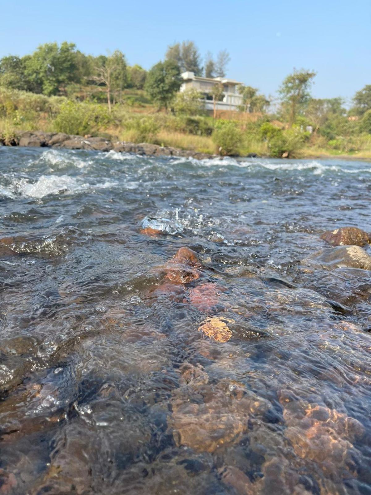 Sohana Eco Retreat Farmhouse - Karjat Chinchavli Cameră foto